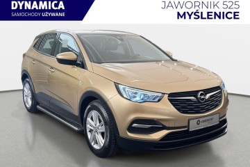 1.2Turbo 130KM M6 2018/2019 r., salon PL, 118tys.km przebiegu